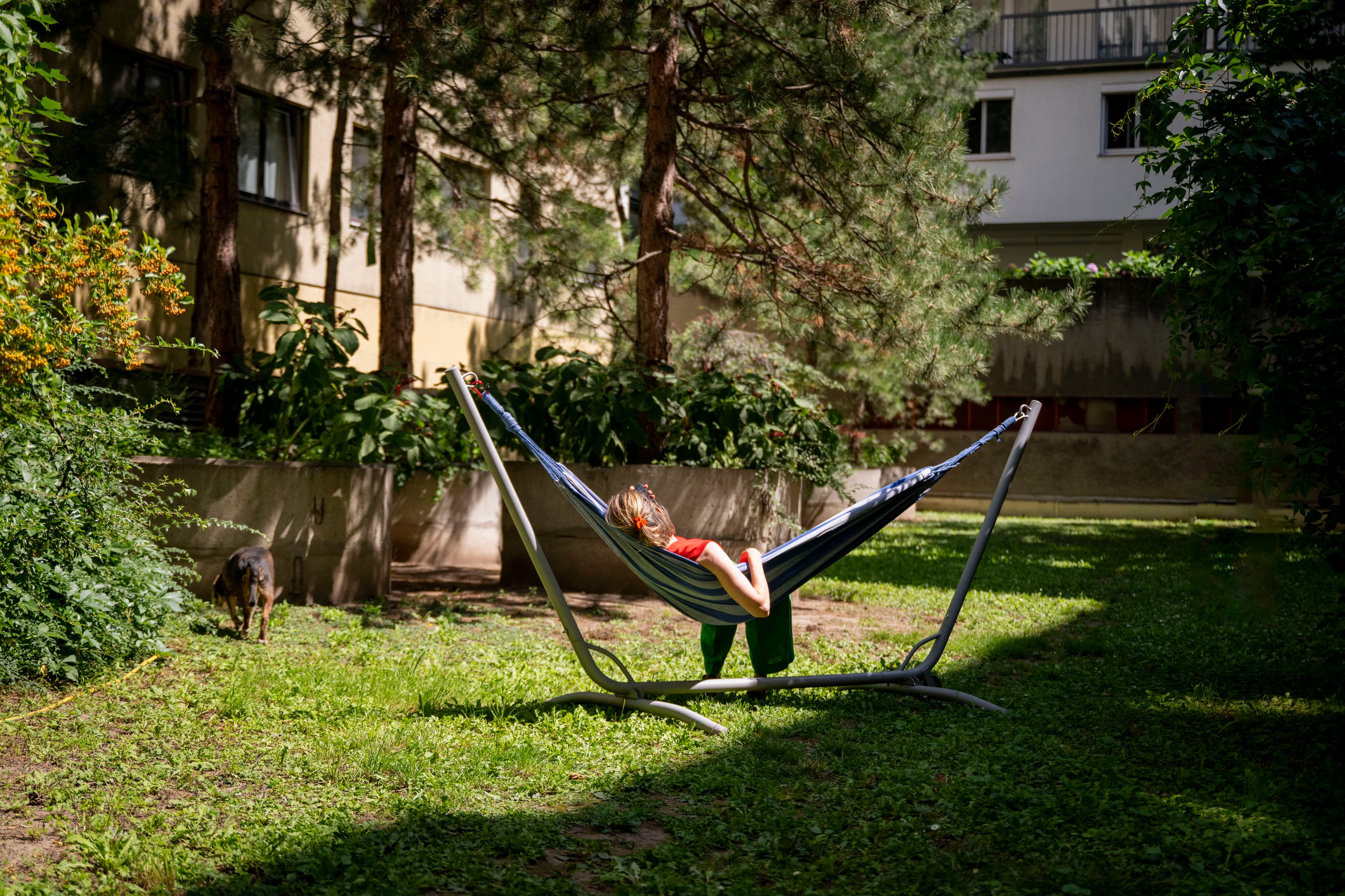 Garden view from the coworking space