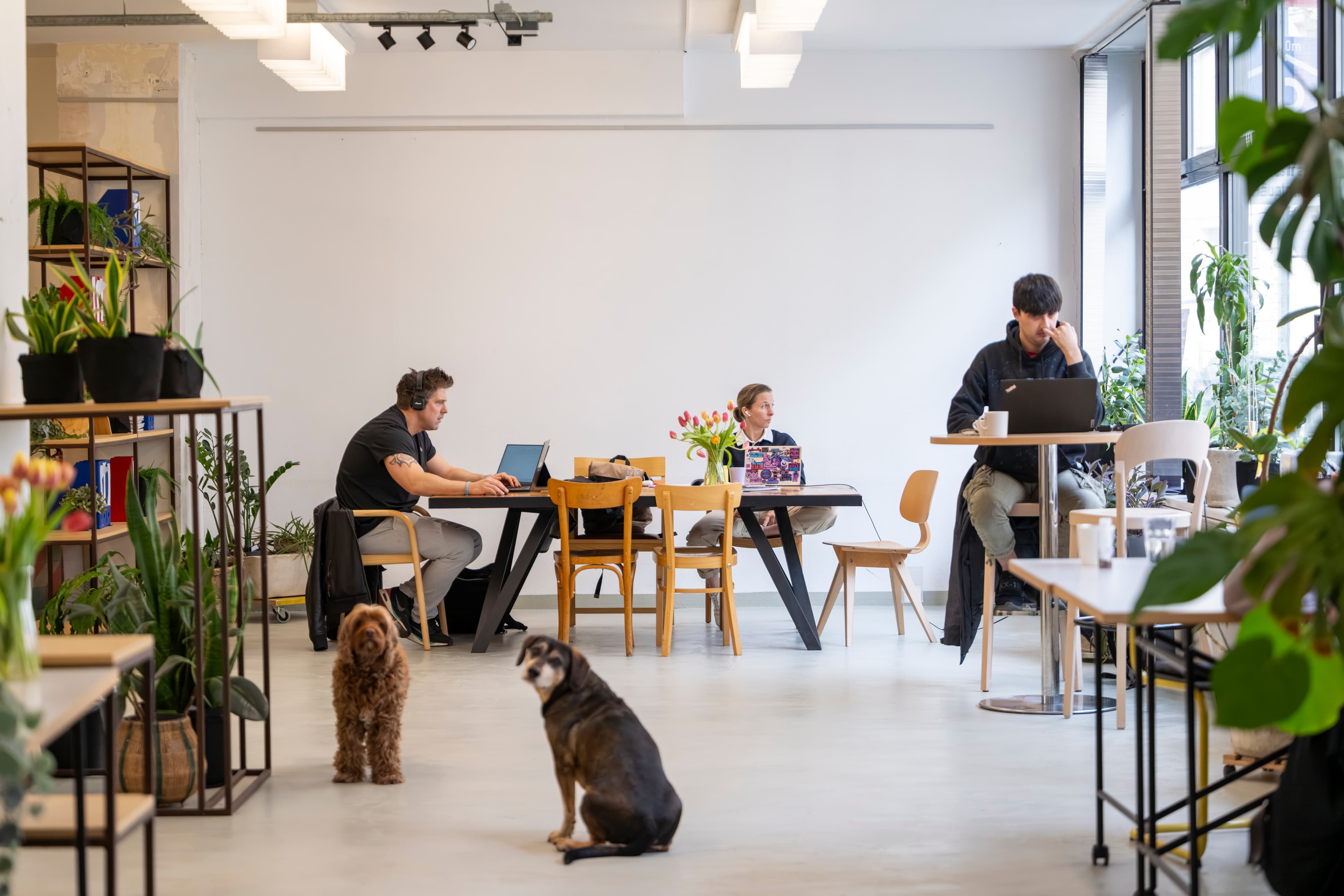 Das Packhaus coworking space