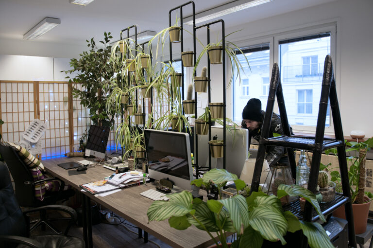 4 Reasons To Add Plants To Your Workspaces